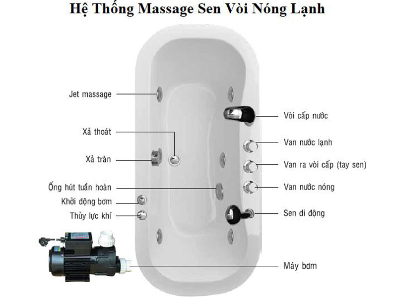 Hệ thống massage sen vòi nóng lạnh của bồn tắm nằm massage Euroca EU1-1475