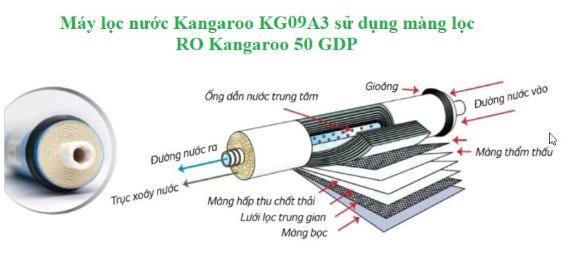 Máy lọc nước Kangaroo KG09A3 sử dụng màng lọc RO Kangaroo 50GDP