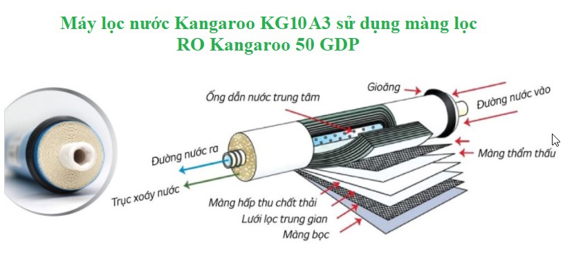 Máy lọc nước Kangaroo KG10A3 sử dụng màng lọc RO Kangaroo 50GDP