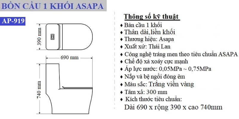 Thông số kỹ thuật bồn cầu 1 khối Asapa trắng viền vàng AP-919