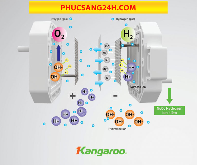 Vệ sinh máy lọc nước Hydrogen ion kiềm KG100ES