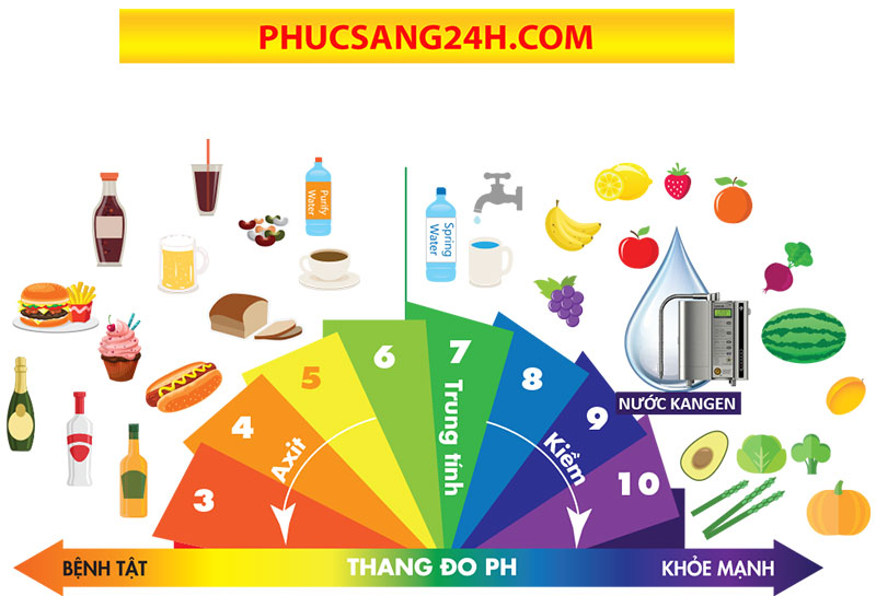 Thang đo pH chỉ ra tính axit và tính kiềm của các loại thực phẩm hàng ngày.